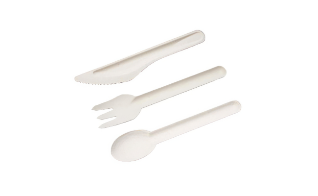 6.5吋 甘蔗纖維餐具 6.5" Compostable Sugarcane Fibre Cutlery